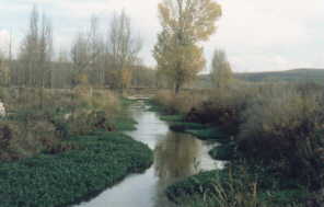 R�o Franco a su paso por Cobos